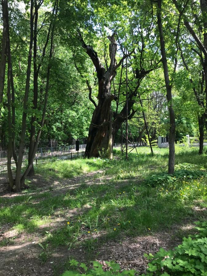 Warsaw-Aparts Ursynow Natolin 外观 照片